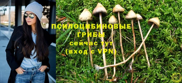 спайс Гусиноозёрск