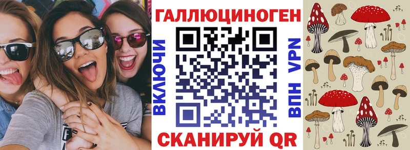 Купить закладки  Подпорожье  Псилоцибиновые грибы Cubensis 